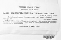 Mycosphaerella dendromeconis image